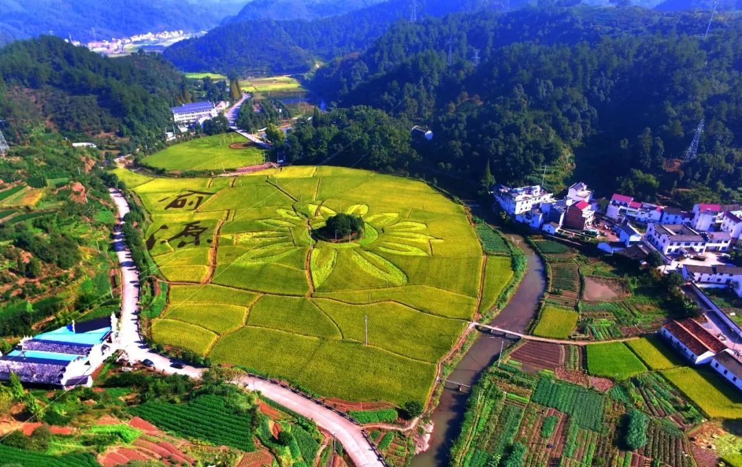 六部委下發(fā)通知，助力全面實(shí)施鄉(xiāng)村振興戰(zhàn)略