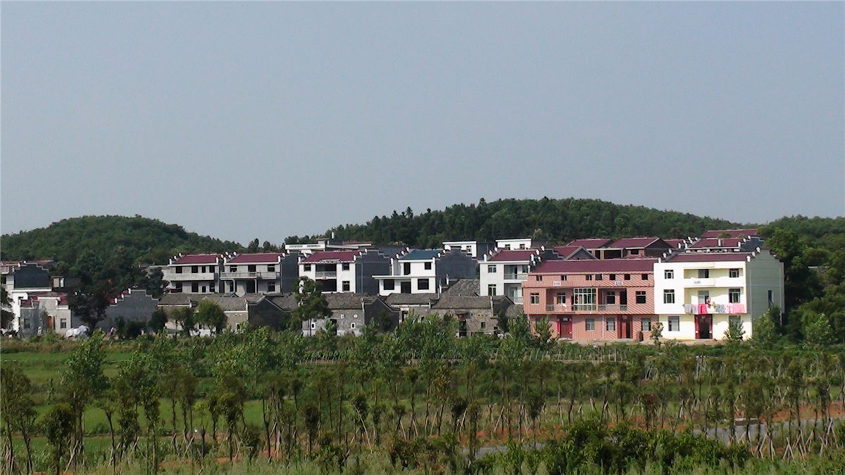 加快農(nóng)業(yè)現(xiàn)代化步伐，打造宜居宜業(yè)新農(nóng)村