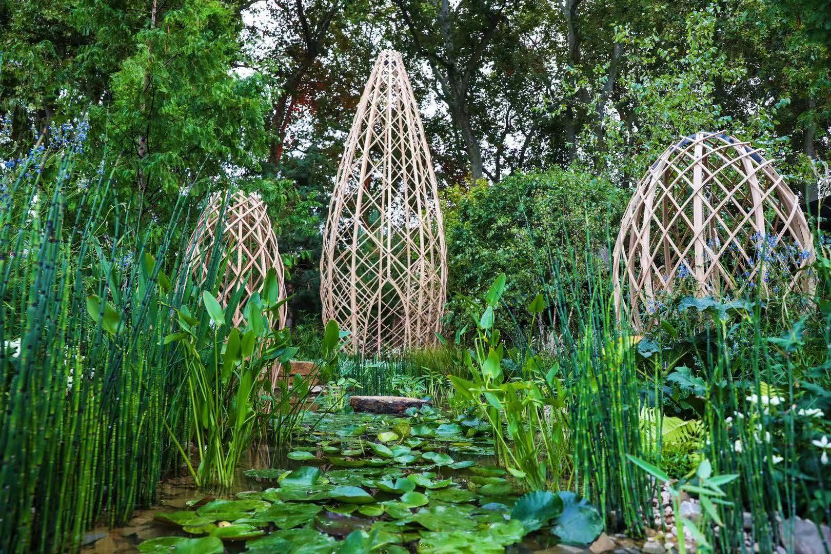 以花為媒，講好中國故事：“廣州花園”獲得百年切爾西花展金獎