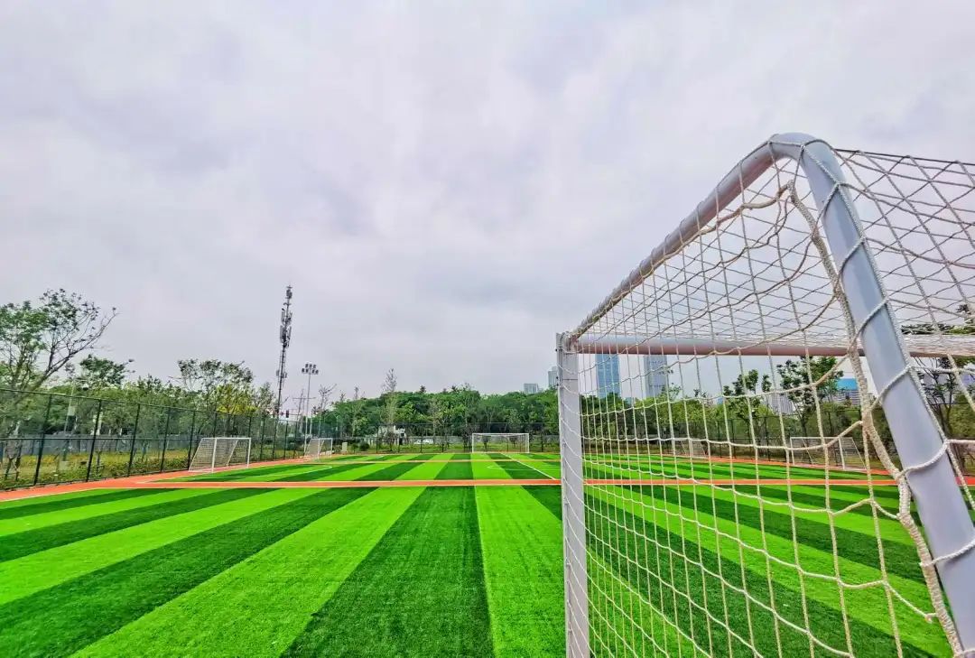 以人口為“定位器”布局體育公園，彰顯民生含金量