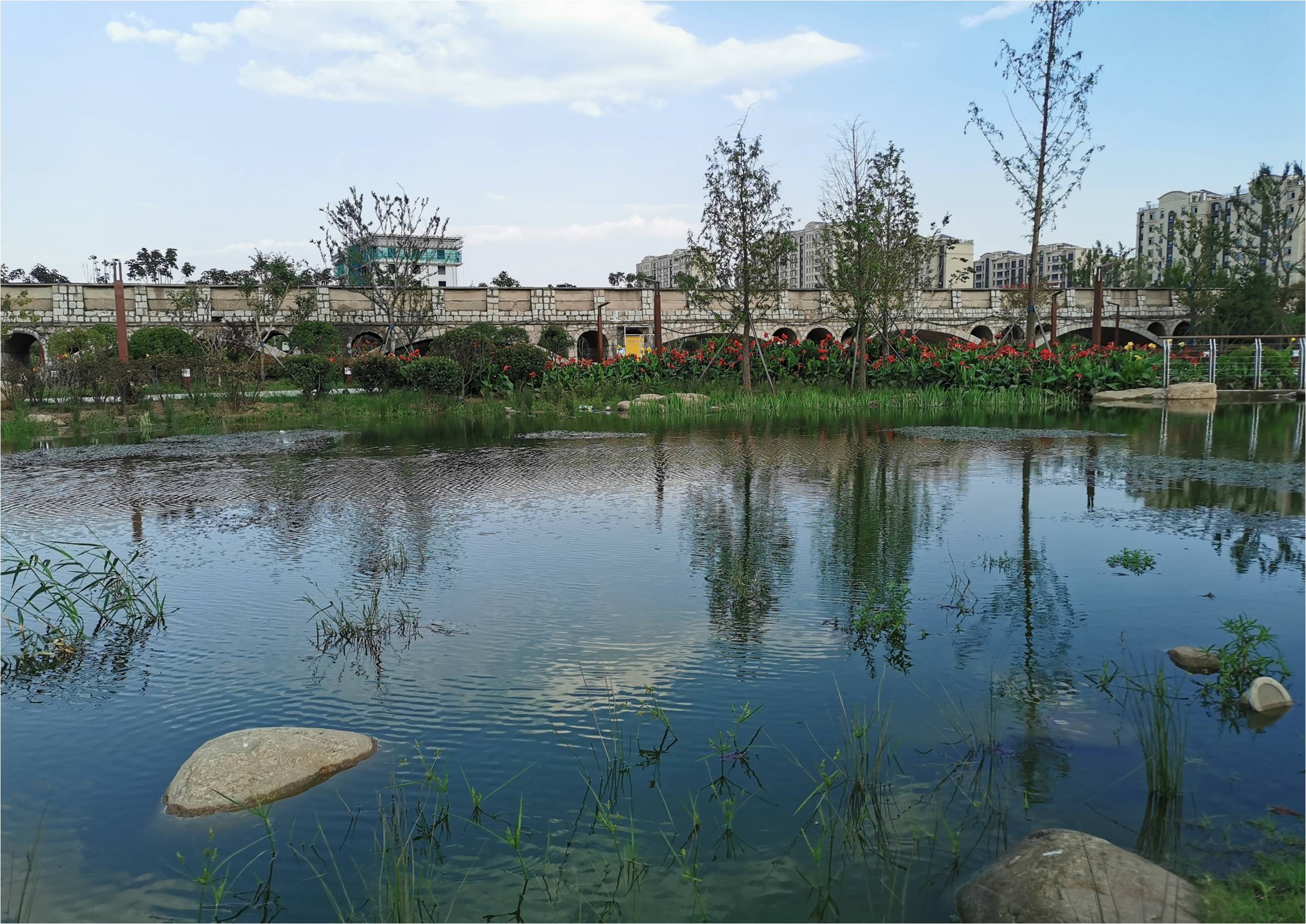 實(shí)景相片8.jpg