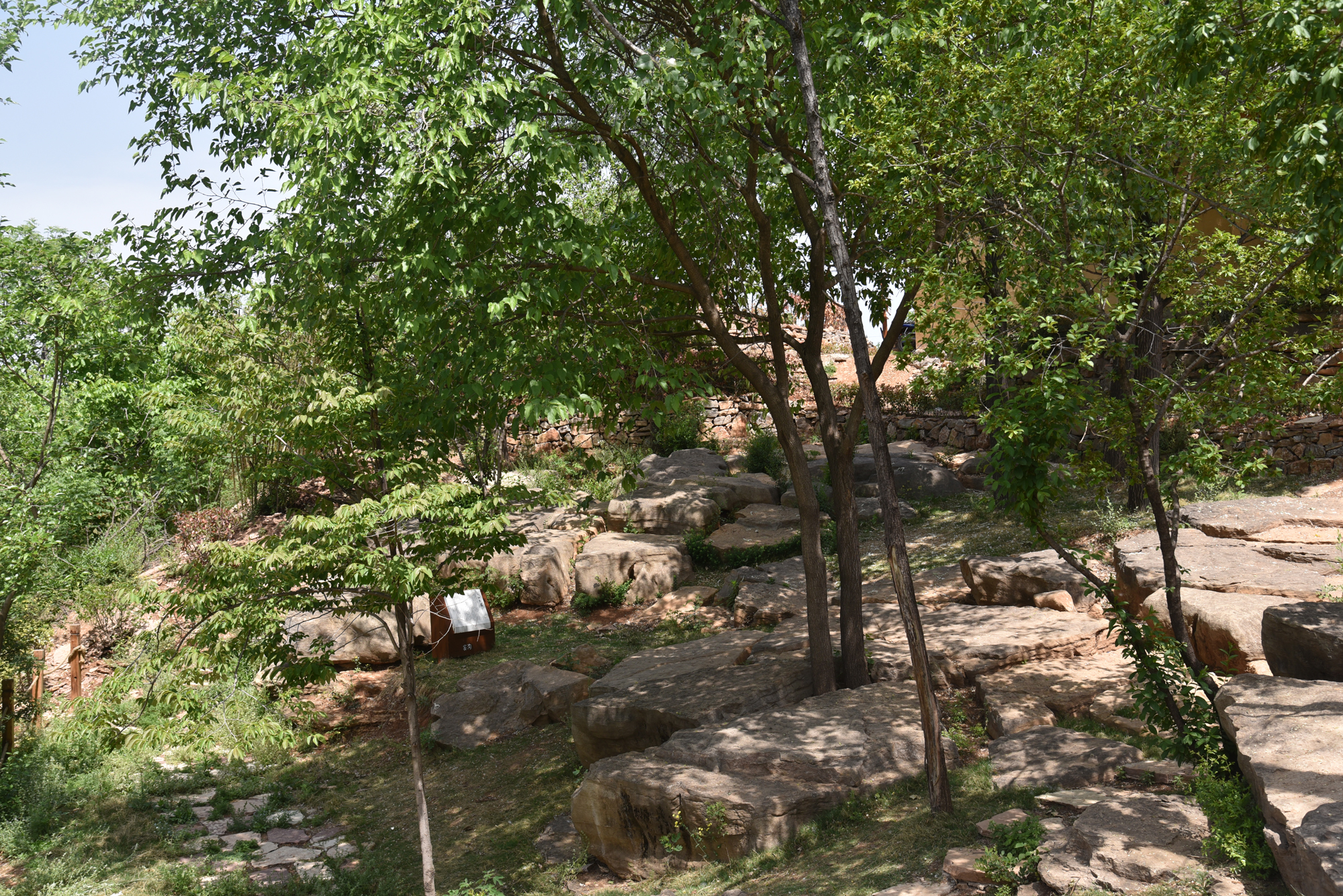 4.原鄉(xiāng)文化-風(fēng)脈石林、八仙臺.JPG